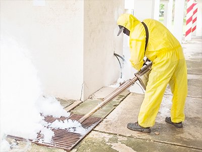 Mosquito Control