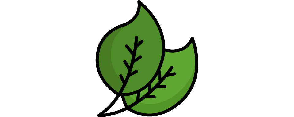Spring Clean-up 