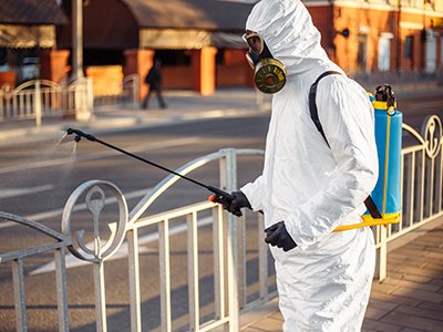 Mosquito Treatment Process